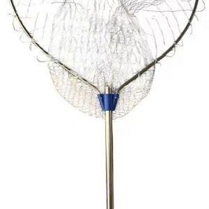 55